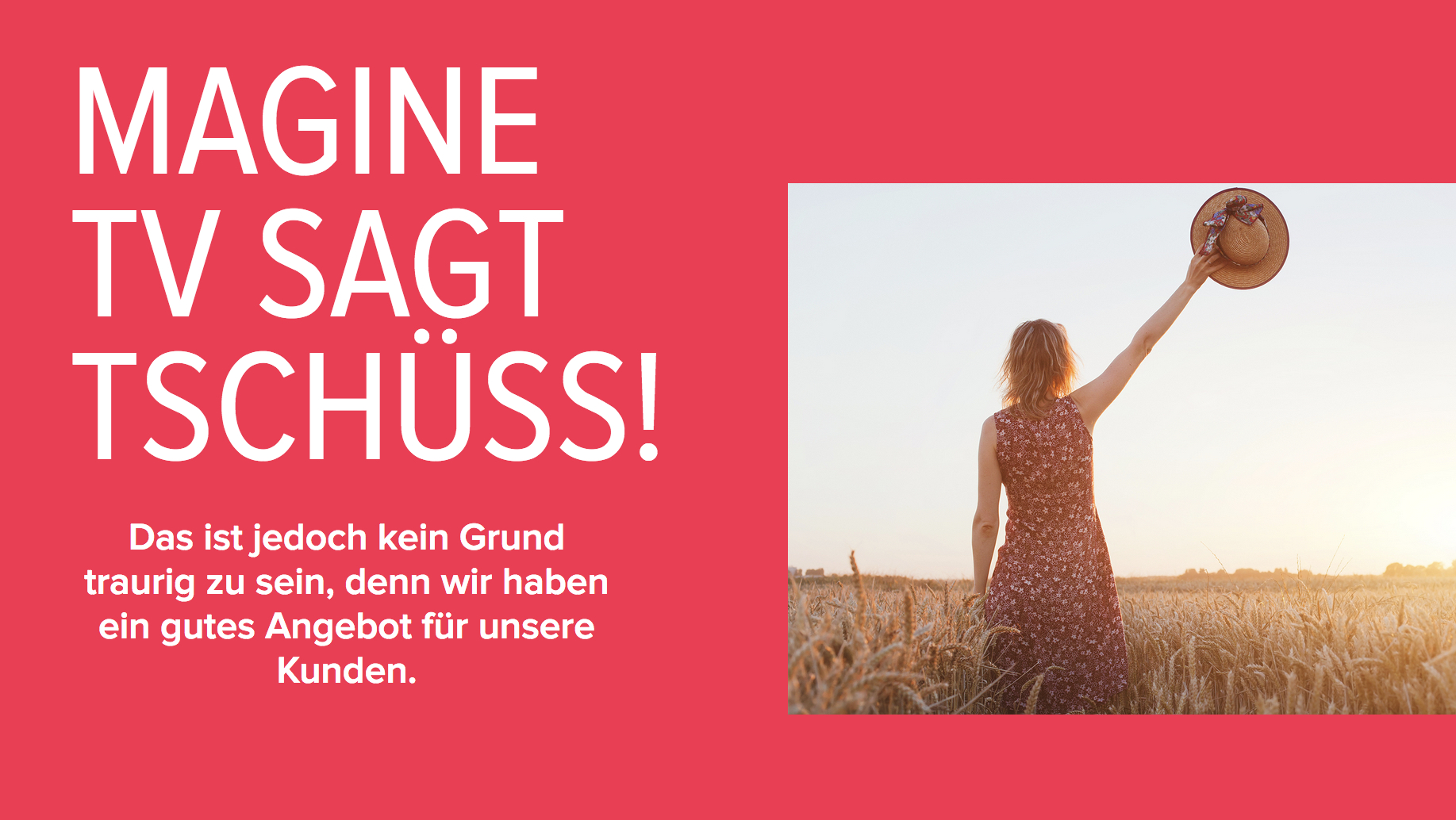 Magine Angebot Magine Angebot
