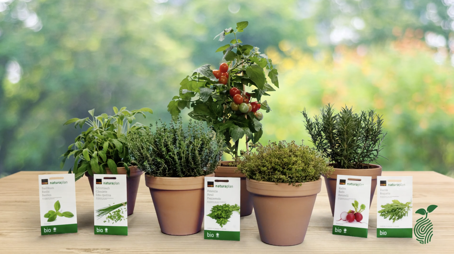 Cover Media gärtnert für Coop Bau+Hobby kleinreport.ch