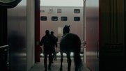 Der Kurzfilm «Air Horse One» von Lasse Linder wurde als «Bester Film» geehrt ... (Bild: © lasselinder.com)