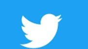 tweitter_vogel