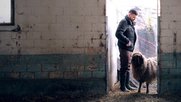 Von wegen Romantik und Alpenglühen: Die Bauer und Bäuerinnen leiden häufig unter psychischen Erkrankungen...(Bild: SRF)
