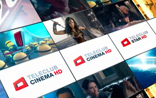 Dept macht vor allem Suchmaschinen-Optimierung (SEO), Content Marketing und Search Enginge Advertising (SEA) für Teleclub...