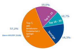 Meinungsmarkt mit «relativ hohe Vielfalt»