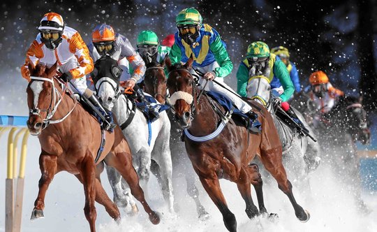 Passendes Sponsoring: Wenn bereits 1 PS so viel Kraft und Eleganz ausstrahlt, wie muss dann wohl der Anblick eines Genesis wirken…      (Bild: White Turf)     
