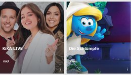 Fernziel «gemeinsames Streaming-Netzwerk»