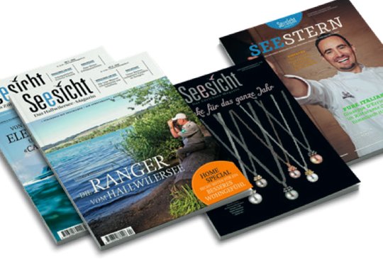 Claudio Brentini übernimmt neu die Chefredaktion der Regionalausgabe «Seesicht - Das Seetal-Magazin»...
