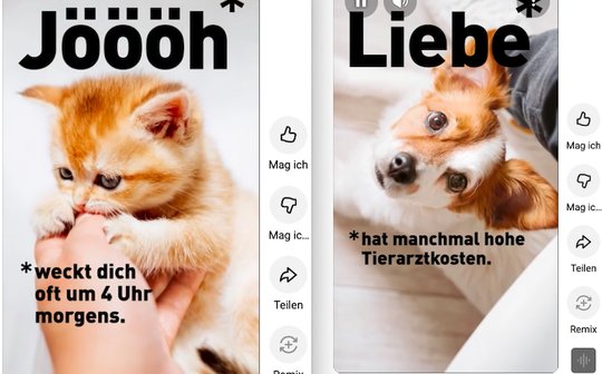 «Bereit für ein Haustier?»: Die neue Kampagne zeigt Schattenseiten der Tierhaltung... (Bild: Screenshot Youtube)
