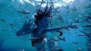 «Avatar 2» hat seit dem Kinostart Mitte Dezember weltweit bereits sagenhafte 2,243 Milliarden Dollar eingespielt...     (Filmstill) 