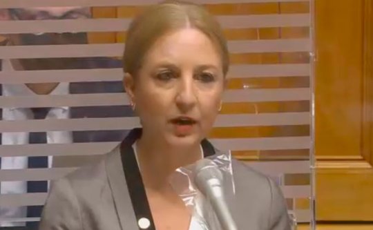 Katja Christ konnte es kaum glauben: «Ein solch massiver Ausbau der Mittel für ein Druckereimuseum und Töfflibenzin?» (Bild Screenshot parlament.ch)