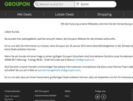 Klein_Report_Groupon