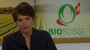Bei der jüngsten Sitzung der UBI konnte den Sendern von SRF nichts absichtlich Falsches nachgewiesen werden...           (Bild: Screenshot «Kassensturz»)