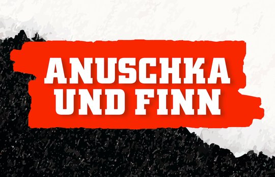 Der Medienwirbel um Anuschka Roshani und Finn Canonica schadet wieder mal nur einer Gruppe: den Frauen, findet Regula Stämpfli. (Bild Buchcover)