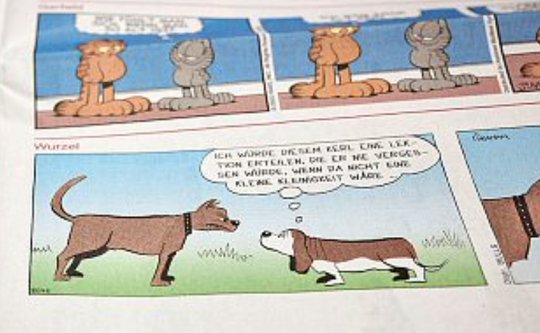 «Wieder ein Schritt näher an der Abo-Kündigung, sehr schade!»: Original «Wurzel»-Comicstil aus den 1970er-Jahren... (Screenshot BZ)