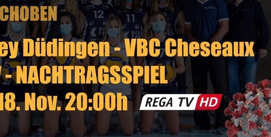 Rega-TV-Sportubertragung-Stream-Volleyball-Freiburger-Nachrichten-Klein-Reportjpeg