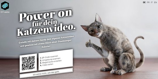 Katzen lieben den häuslichen Komfort. Die Elektrofachleute wollen einen solchen auch weiterhin garantieren...        