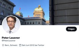 Peter-Lauener-vorubergehend-in-Untersuchungshaft-gewesen-Klein-Report