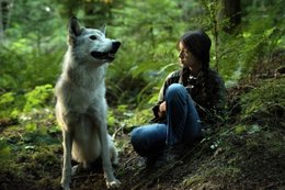 shana-the-wolfs-music-klein-report