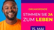 Zu sehen unter anderem in Trams und Taxis...
