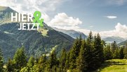 «Hier & Jetzt» heisst das Portal, auf dem Nestlés Nachhaltigkeits-Projekte in Storys aufbereitet werden...       (Bild: Screenshot nestle.ch)
