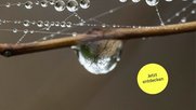 Bildstark und «fast schon synästhetisch»...