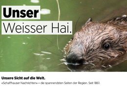 «Überraschende Referenzpunkte»