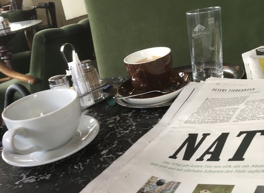 Qualitätsjournalismus findet nicht in millionenschweren subventionierten Grossverlagen statt, sondern vor Ort. Hier das Café Jelinek in Wien...    (Foto © Regula Stämpfli)