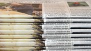 «Basler-Zeitung» schaffte signifikantes Plus mit 4 Prozent auf 103'000 Leserinnen und Leser...