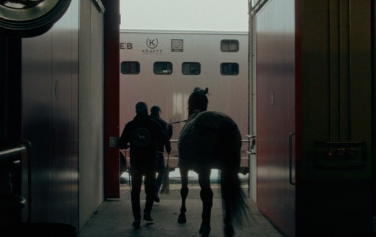 Der Kurzfilm «Air Horse One» von Lasse Linder wurde als «Bester Film» geehrt ... (Bild: © lasselinder.com)