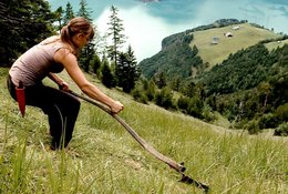Weckt Sehnsucht für einfaches Leben (©SRF)