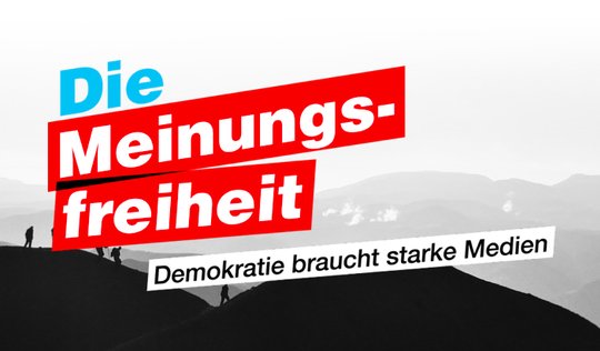 Das Argumentarium kollidiert frontal mit jenem des Referendumskomitees. (Bild Screenshot)