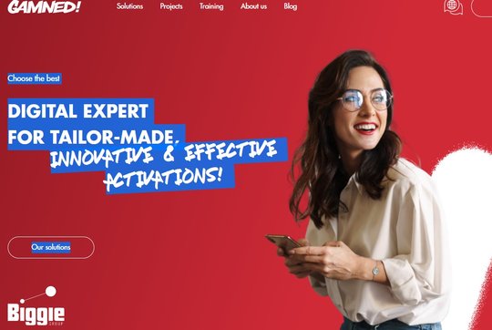Die Binggie Group will zu einem europäischen Marktführer im digitalen Marketing werden...          (Screenshot Webseite)