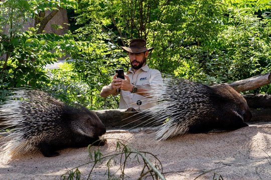 Die ersten beiden Video-Staffeln mit dem EWZ-Ranger haben über eine Million Impressions auf Social Media generiert...    (Bild: EWZ)