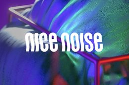 logo_nice_noise_StudioThomPfister-1-kleinreport