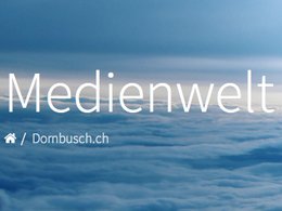 Klein_Report_Dornbusch_Medien