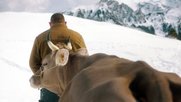 Die Zürcher Produktionsfirma Hugofilm Features hat den Film mit der deutschen Pandora Film Produktion koproduziert. 