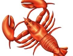 Lobster mit zehn Beinen