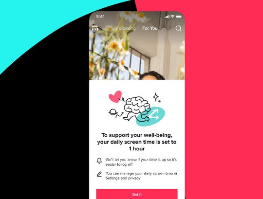 TikTok steht an verschiedenen Fronten unter Zugzwang: Hinweise zur Selbstbeschränkung in einem Blogpost...             (Bild: TikTok)