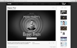 mario-haller-klein-report
