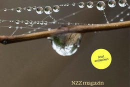 Bildstark und «fast schon synästhetisch»...