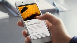 instant_Article-Klein_Report