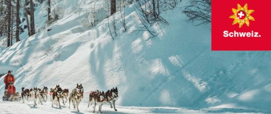 Die öffentliche Mega-Ausschreibung wurde in sechs Lose aufgeteilt. (Bild © ST)