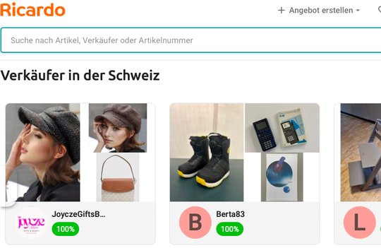Mangelnde Transparenz beim User-Tracking: Die Unternehmen weisen die Vorwürfe zurück... (Bild Screenshot ricardo.ch)