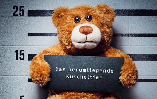 Mit dem Framing «Grossfahndung» will die Beratungsstelle für Unfallverhütung auch junge Menschen erreichen. (Bild zVg)