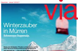 Via-Druck-SBB-Vogt-Schild-Klein-Report