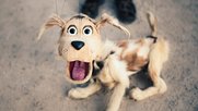Der Politjournalist: Wachhund der Demokratie oder doch eher SEO-gesteuerter Click-Jäger?