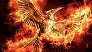die-tribute-von-panem-mockingjay-klein-report