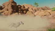 Huch, ein Zebra vor meiner Nase...(Bild: zVg)