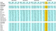 Ausländische Radios mit nur 5% Marktanteil