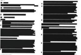 Bericht über Polizei war teils geschwärzt.