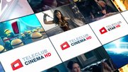 Dept macht vor allem Suchmaschinen-Optimierung (SEO), Content Marketing und Search Enginge Advertising (SEA) für Teleclub...